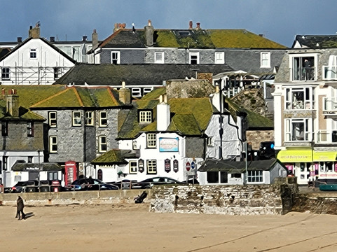 Guided Geology Walks (Cornwall Geowalks)-圣艾维斯必去景点