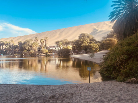 Huacachina Oasis-Huacachina必去景点