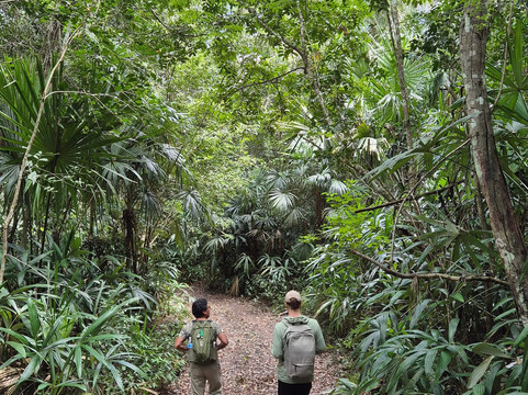 Calakmul Tours By Ezequiel-Xpujil Town必去景点