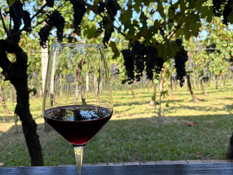 Vinhos Larentis-本图贡萨尔维斯必去景点