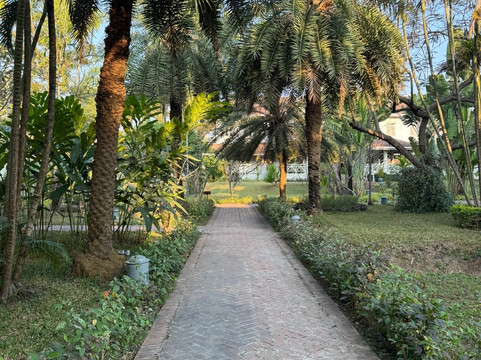 卢昂岛赛居所主图