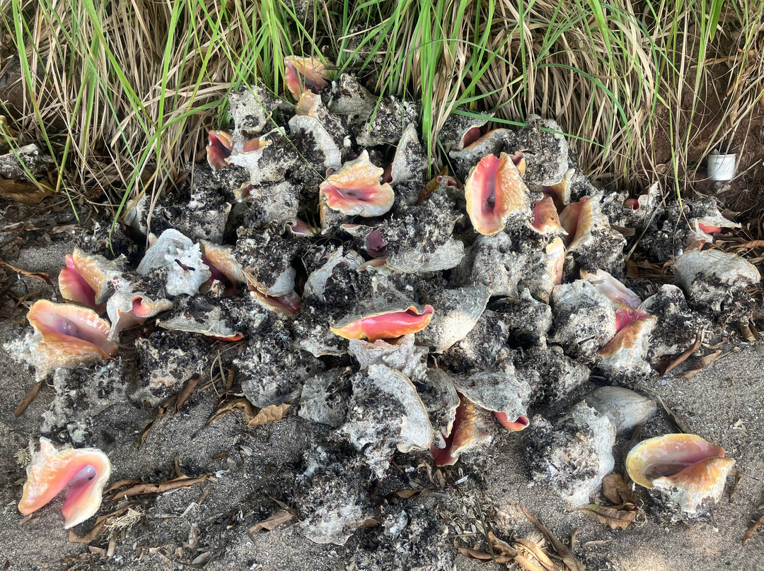 Santa Catalina-圣安德烈斯和普罗维登西亚岛必去景点