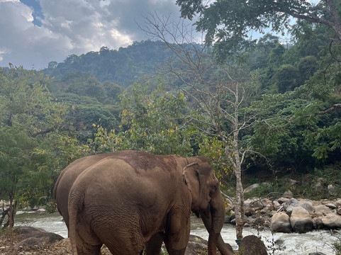 Amazing Trekking Tour-清迈必去景点