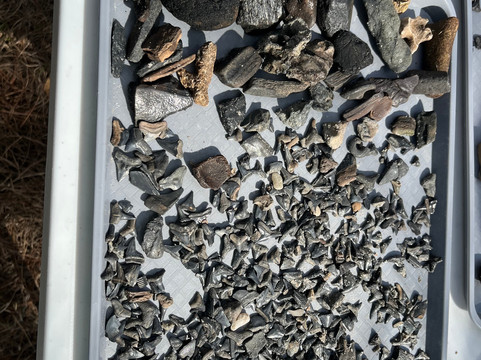 Peace Paleo Adventures-Wauchula必去景点