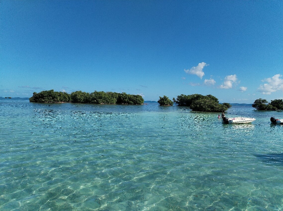 Nico Excursions-Sainte Rose必去景点