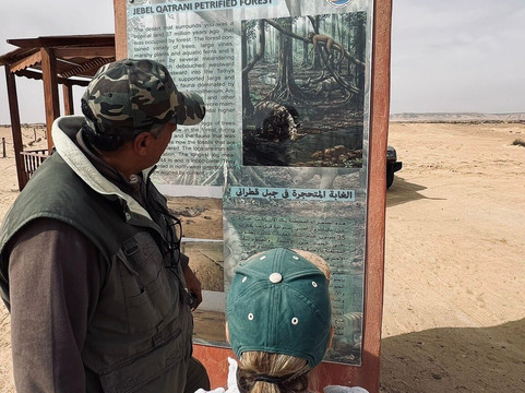 The Petrified Forest-法尤姆必去景点