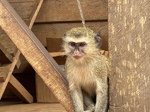 Le Guide Du Congo-Pointe Noire必去景点