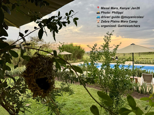 Gamewatchers Safaris-内罗毕必去景点