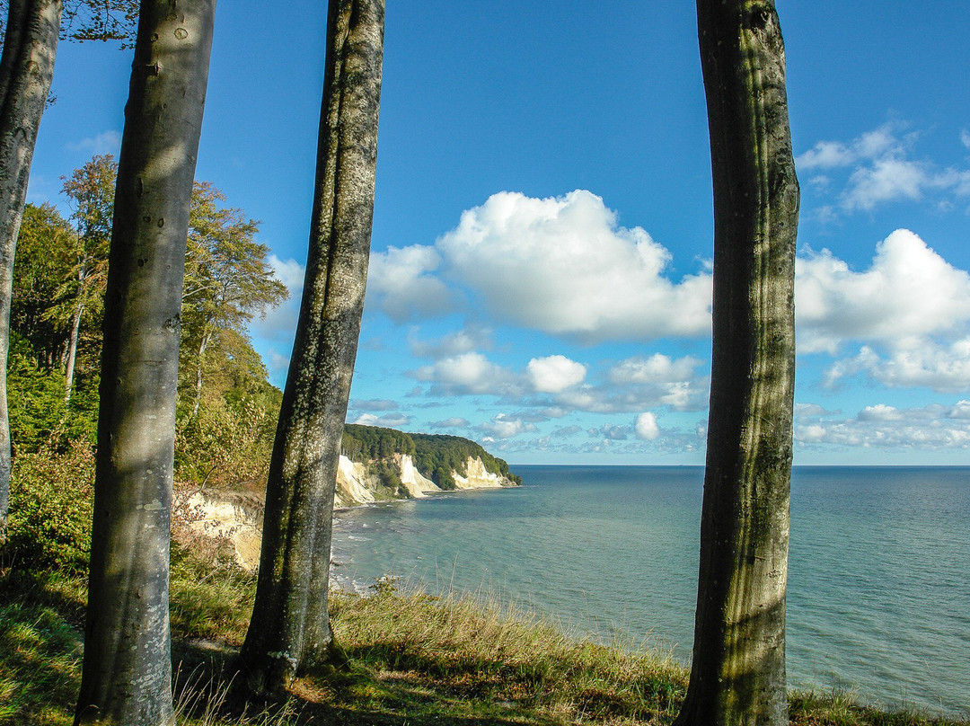 Nationalpark Jasmund-萨斯尼茨必去景点