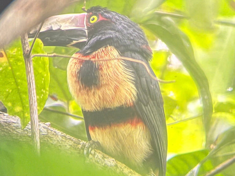 Manuel Tour Guide-卡维塔必去景点