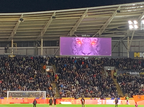 MKM Stadium-赫尔河畔金斯顿必去景点