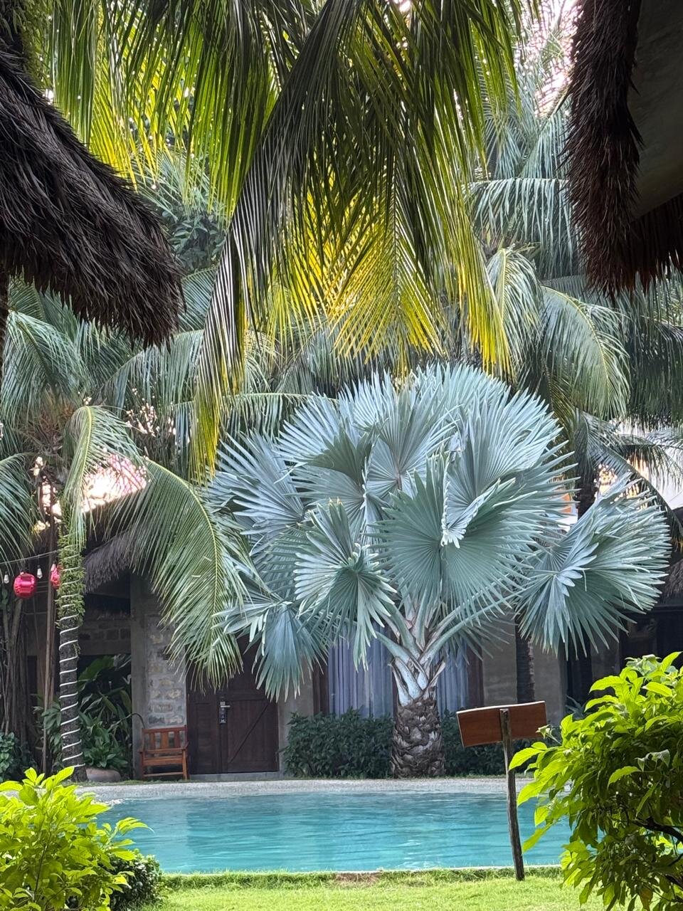 M Village Tropical Phu Quoc-泳池