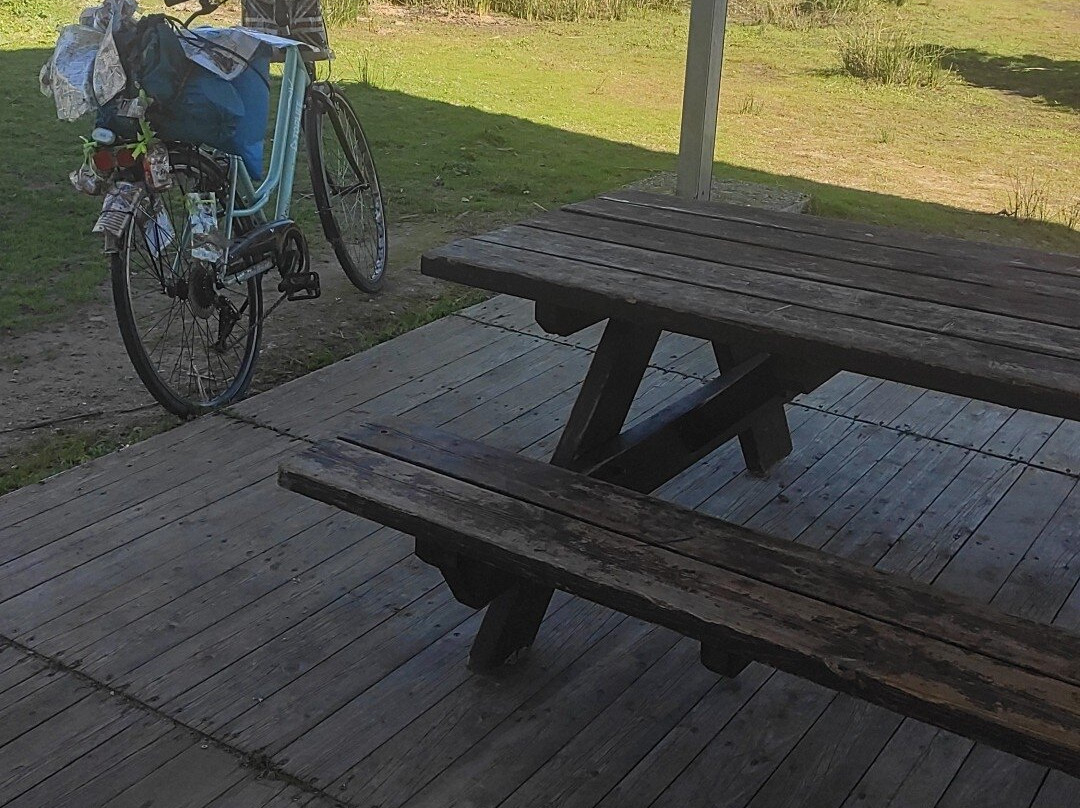 El Parque Metropolitano Marisma De Los Toruños y Pinar De La Algaida-Valdelagrana必去景点