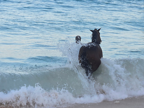 Pebbles Beach-布里奇顿必去景点