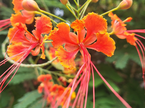 Jack Daniels-必韦久必去景点