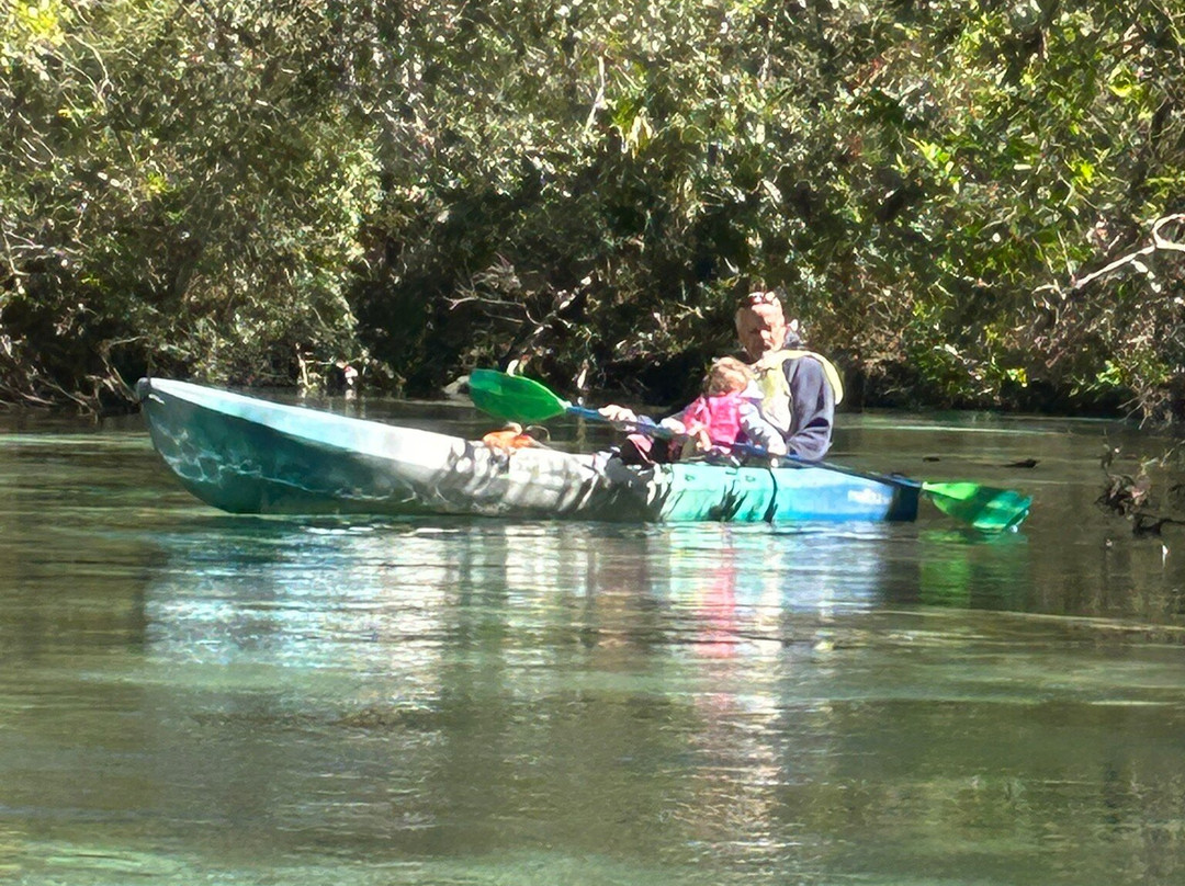 Weeki Wachee Springs-Weeki Wachee必去景点