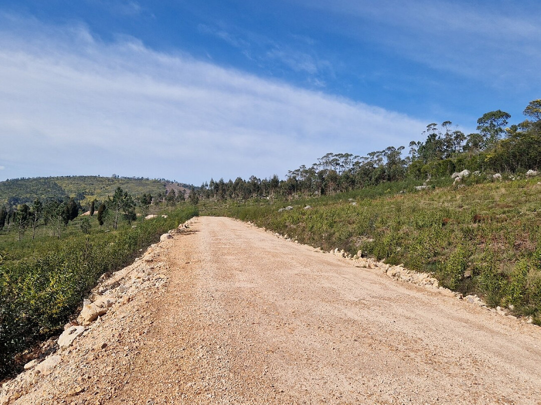 Mata Nacional do Bucaco-卢祖必去景点