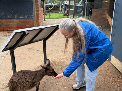 Ballarat Wildlife Park-巴拉瑞特必去景点