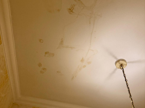 Gemoedsrus Farm主图