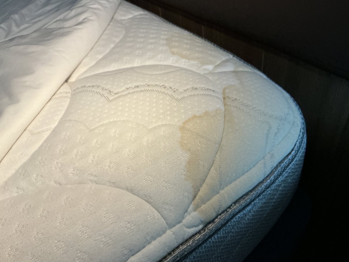 摩根敦希尔顿花园酒店-客卧