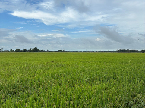 Can Tho Touring with Susan-芹苴必去景点