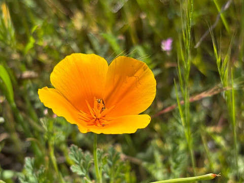 Diamond Valley Lake Visitors Center-赫米特必去景点