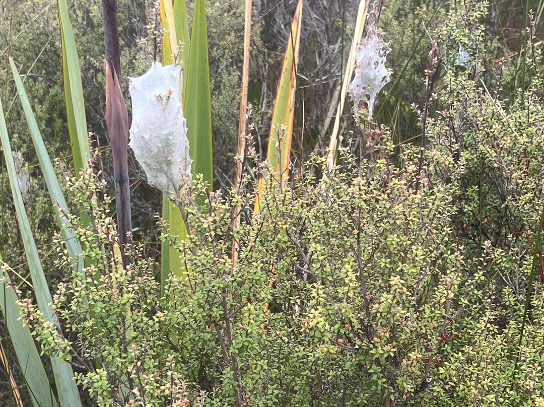 Ship Creek Walks-Haast必去景点