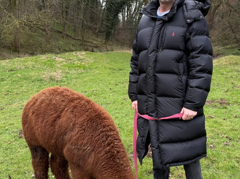 Alpaca Alpaca At Leven Valley-Yarm必去景点