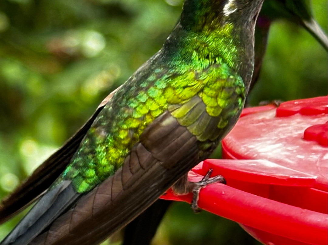 纳弗雷之家酒店主图