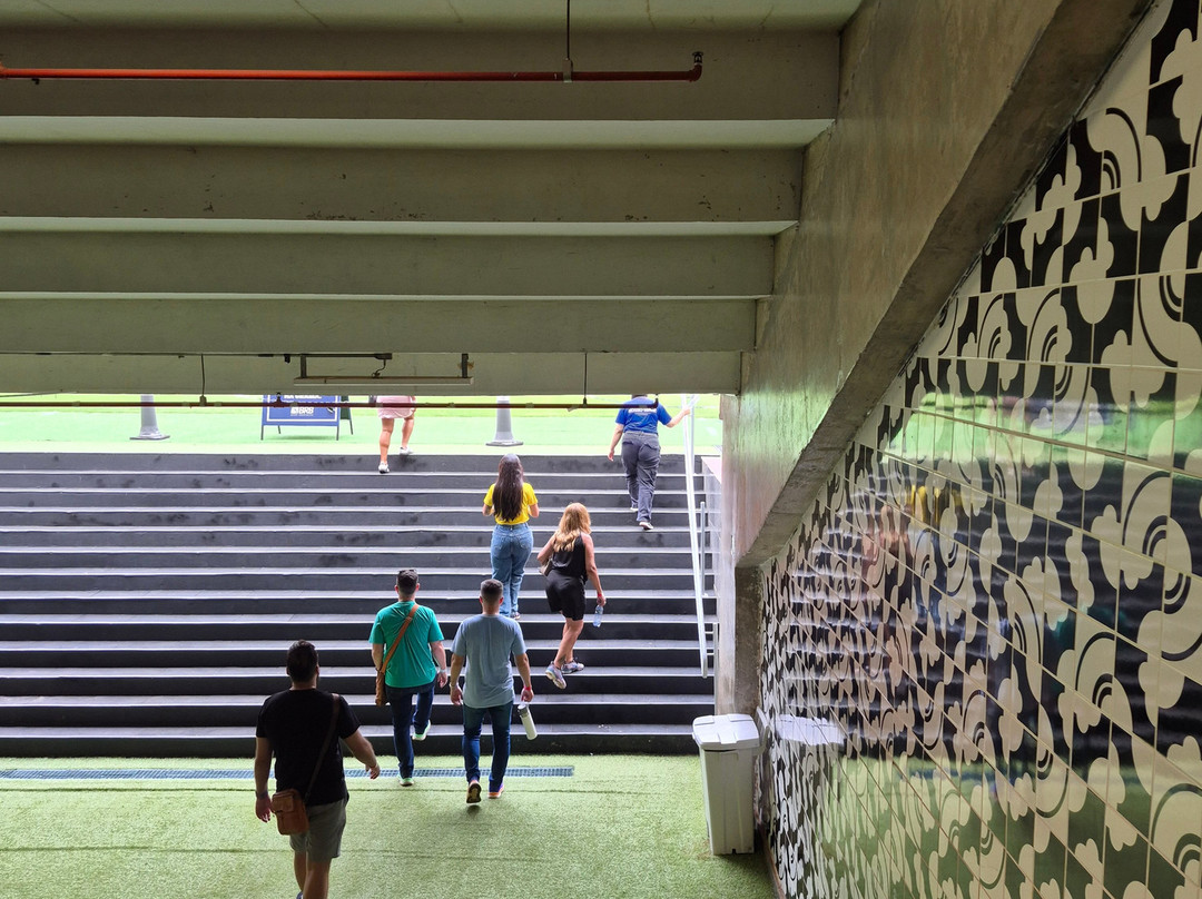 Nosso Mané-巴西利亚必去景点