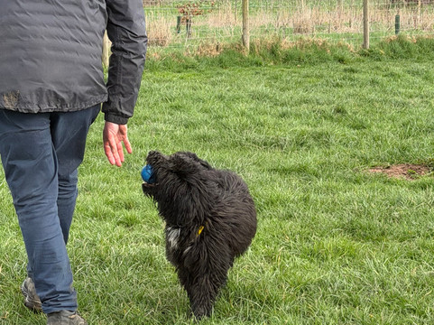 Apley Farm Shop-Norton必去景点