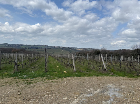 Casa Sola Chianti Winery-巴尔贝里诺瓦尔德尔萨必去景点