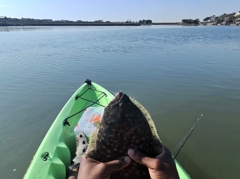 Pawleys Kayaks-帕利斯岛必去景点