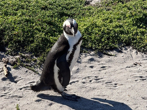 Yengwa Tours & Adventures-克尼斯纳必去景点