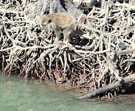 Paradies Sea Travel & Tour-兰塔岛必去景点