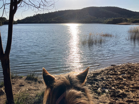 Aventure cheval. Randonnées à cheval-La Crau必去景点