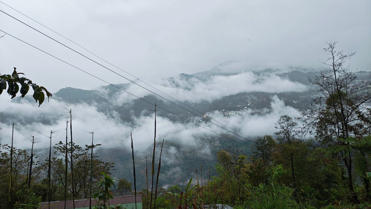 曼甘蒙洛姆自然度假村-酒店景观