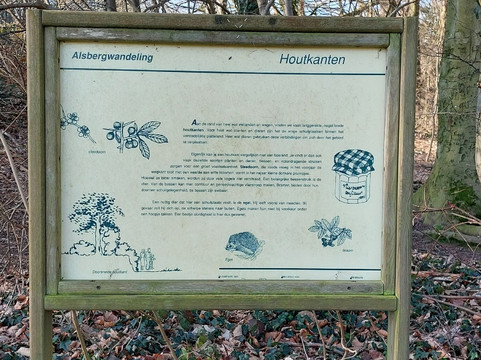 Vlooybergtoren-Tielt Winge必去景点