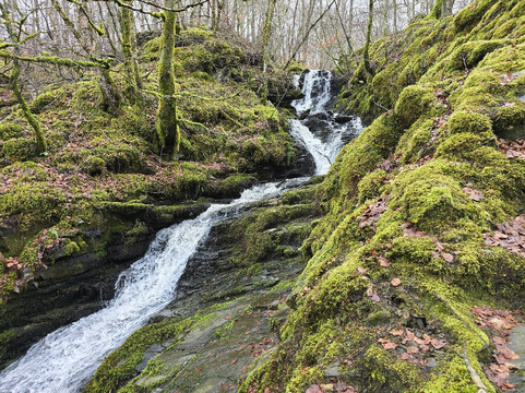 The Birks of Aberfeldy-Aberfeldy必去景点