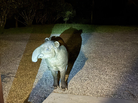 特诺里奥旅舍主图