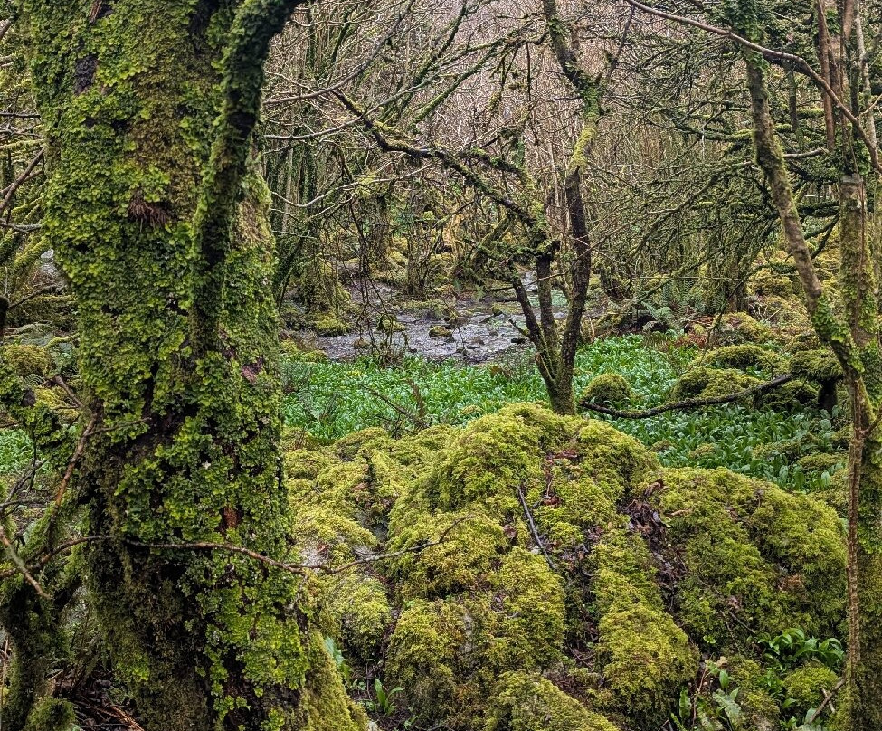 Burren Walks-金瓦拉必去景点