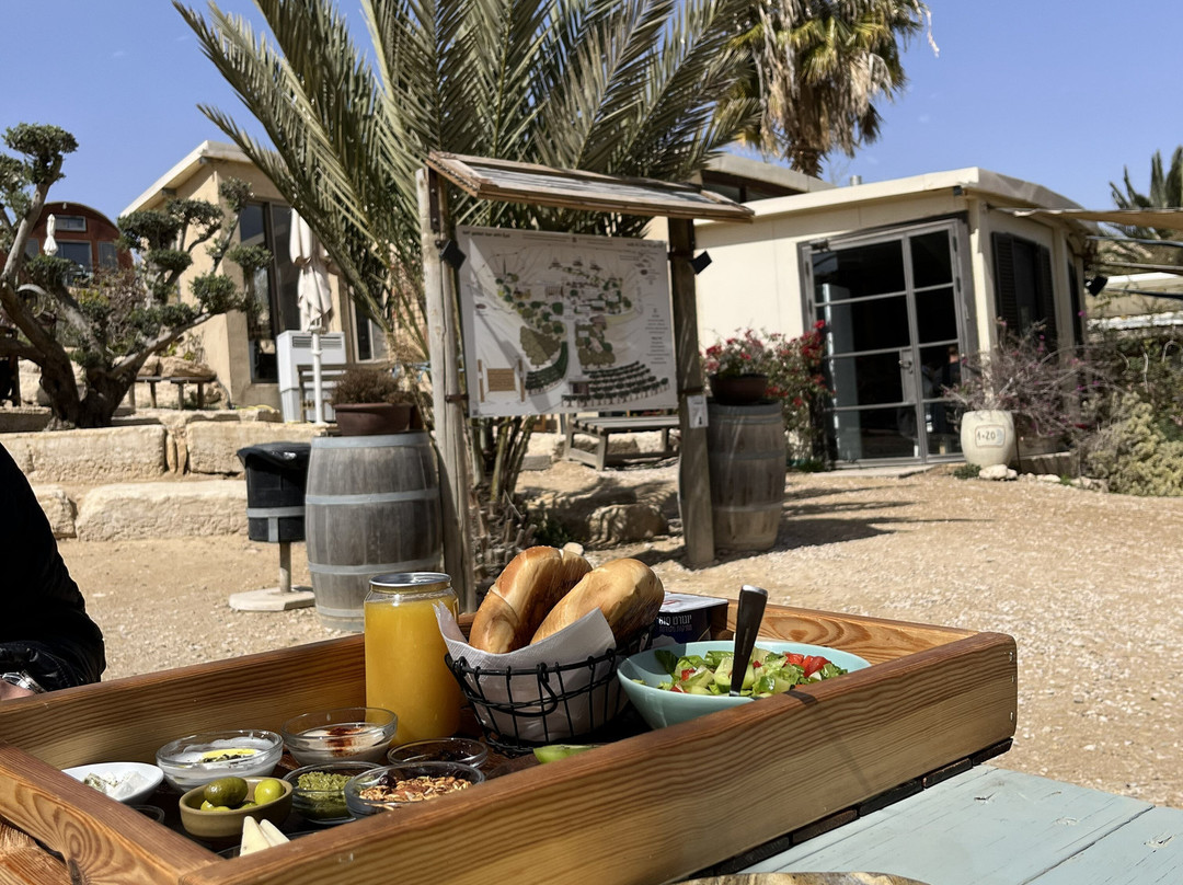 沙漠庄园卡梅·阿夫达特主图