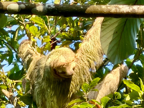 圣拉菲尔生态酒店主图