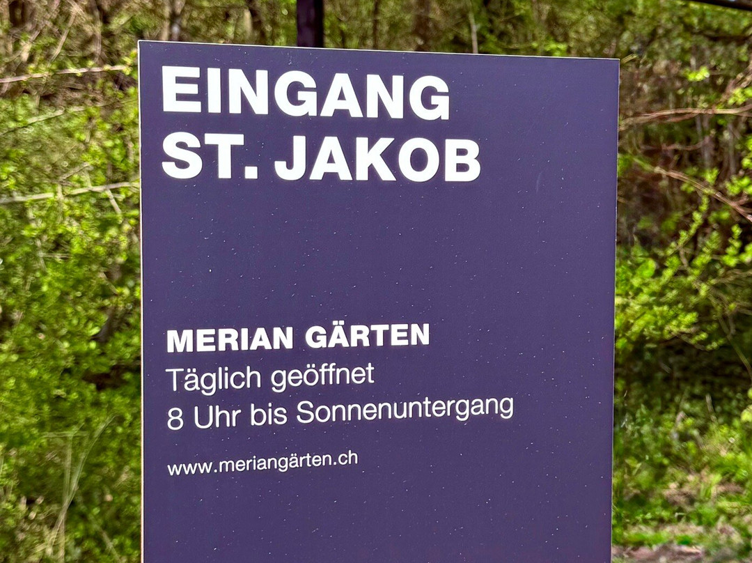 Merian Garten-巴塞尔必去景点