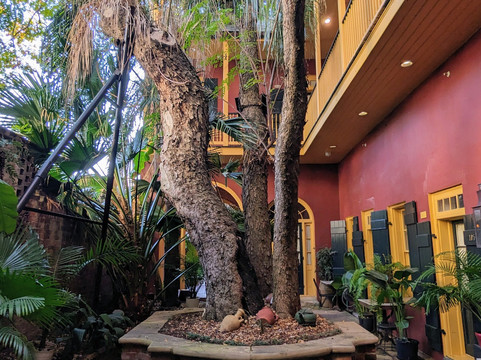 奥利维尔家酒店主图