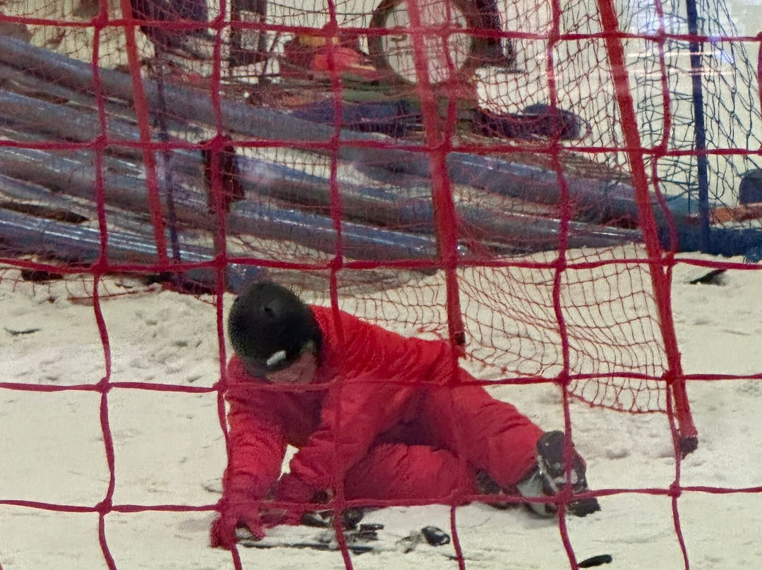 Snozone Madrid-阿罗约莫利诺斯必去景点