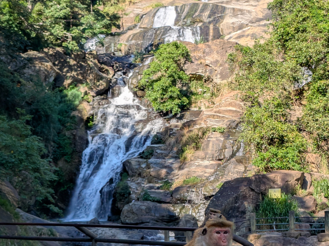 C&C travel Sri Lanka-Minuwangoda必去景点