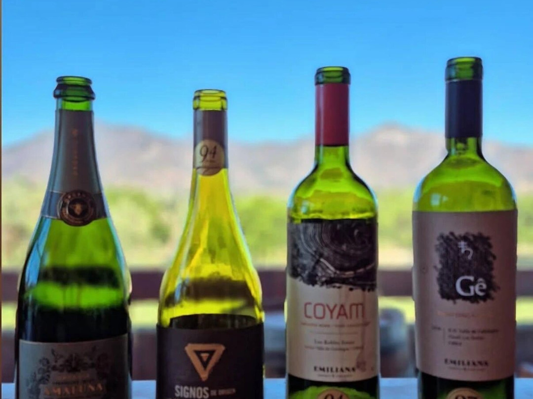 Emiliana Organic Vineyards-卡萨布兰卡必去景点