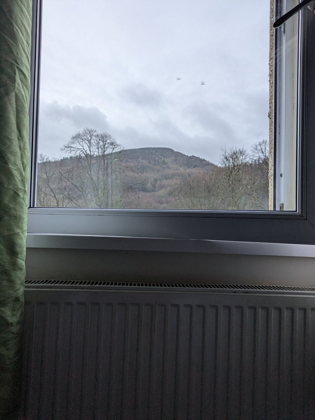 度瑞文酒店-客卧