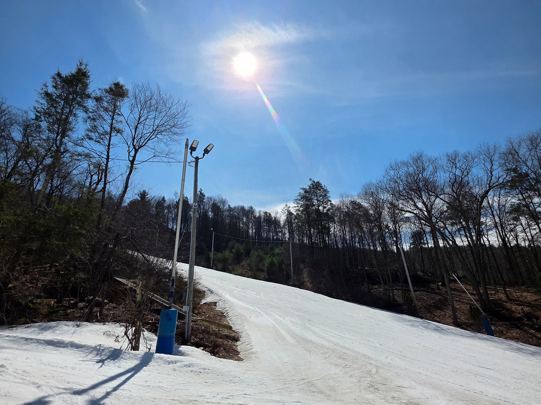 Blue Mountain Resort-Palmerton必去景点